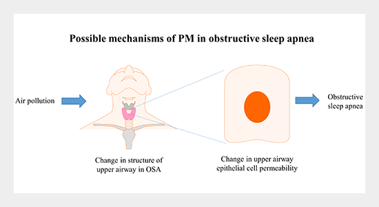 Air Pollution and Respiratory Permeability in Obstructive Sleep Apnea - A Review