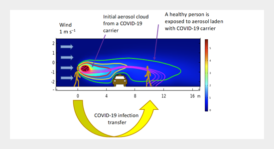 Size Dependence of Liquid–Liquid Phase Separation by in Situ Study of  Flowing Submicron Aerosol Particles