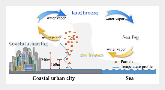 Impacts of Sea Land Breeze on the Fog and PM2.5 Concentration in 