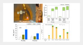 Characterization of PM2.5 and Particulate PAHs Emitted from Vehicles via Tunnel Sampling in Different Time Frames