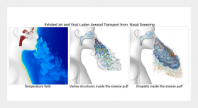 Exhaled Jet and Viral-Laden Aerosol Transport from Nasal Sneezing