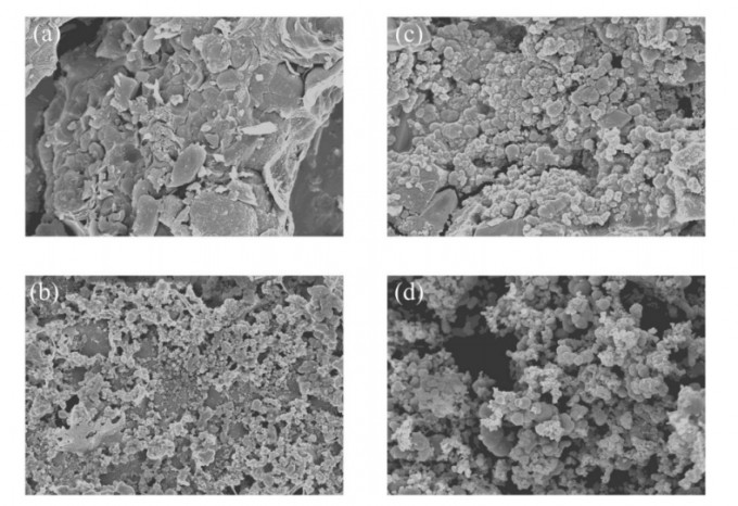 Fig. 4. SEM images of the solid specimens: (a) slag, (b) primary quenching tower ash, (c) sludge, (d) fabric filter ash.