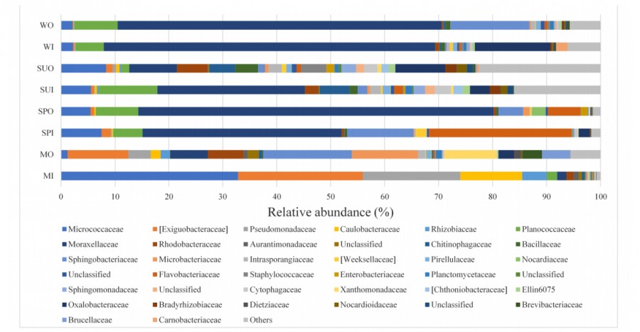 Fig. 4 Distribution of different families in air samples collected from indoor and outdoor area of JNU Health Centre in each season: Winter Outdoor (WO), Winter Indoor (WI), Summer Outdoor (SUO), Summer Indoor (SUI) Spring Outdoor (SPO), Spring Indoor (SPI), Monsoon Outdoor (MO), and Monsoon Indoor (MI). 