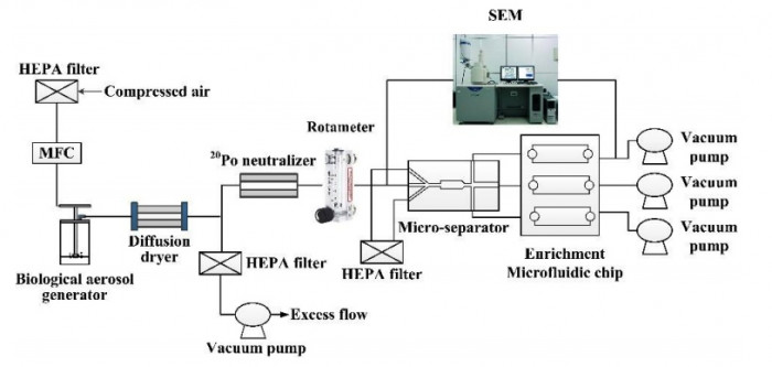 Fig. 3. Schematic of the experimental setup.